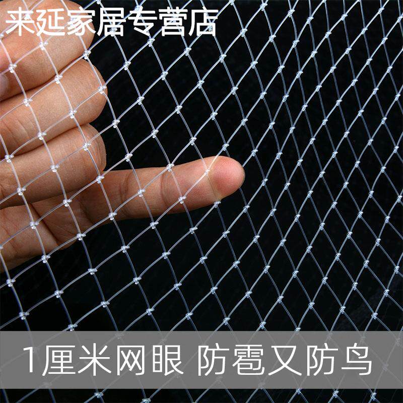 现货大棚防鸟网草j莓尼龙网果树防鸟用网防乌网果园天网防护网纱