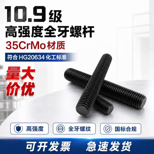 35CrMo10.9级全牙螺杆HG20634