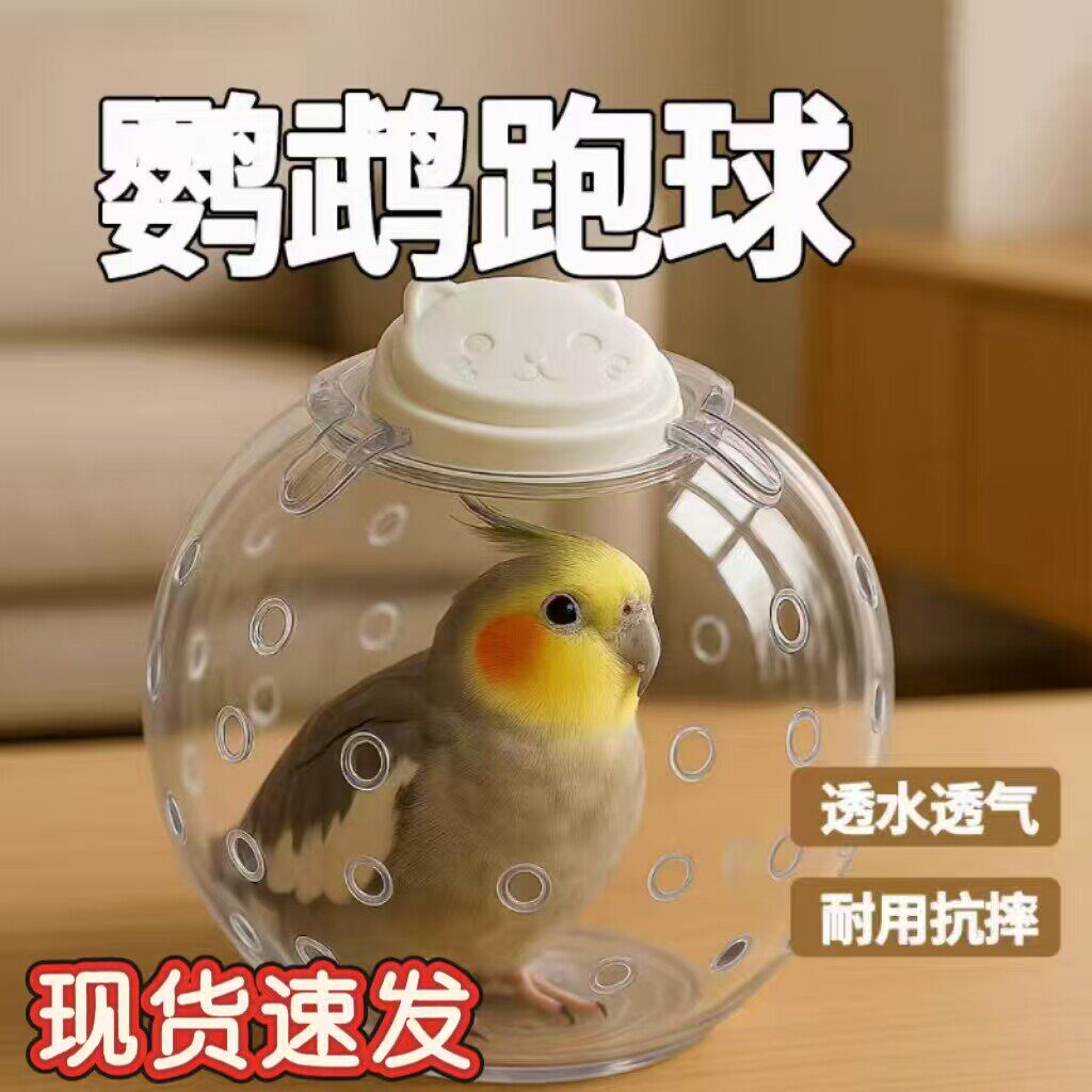 居里喵鹦鹉跑球玩具解闷自嗨虎皮牡丹耐啃咬跑轮小鸟益智解压用品