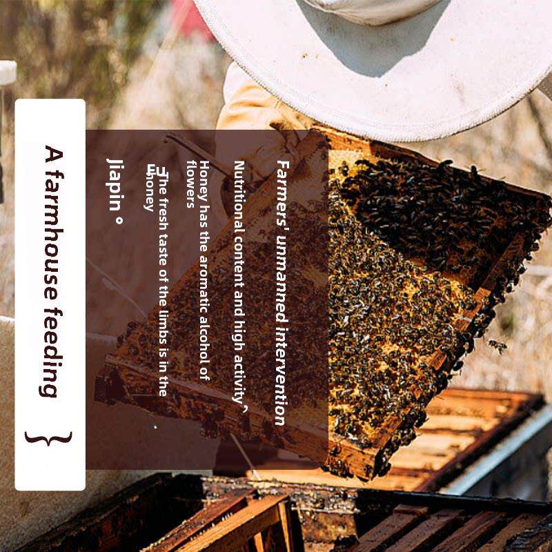 野生纯天然蜜，纯红枣蜂蜜，农，家乐蜂蜜王JQO无添加剂，金合欢