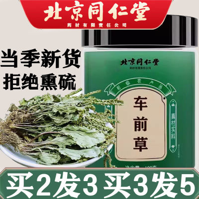 北京同仁堂车前草可搭车前草袋泡茶中药材猫爪草新鲜干货正品