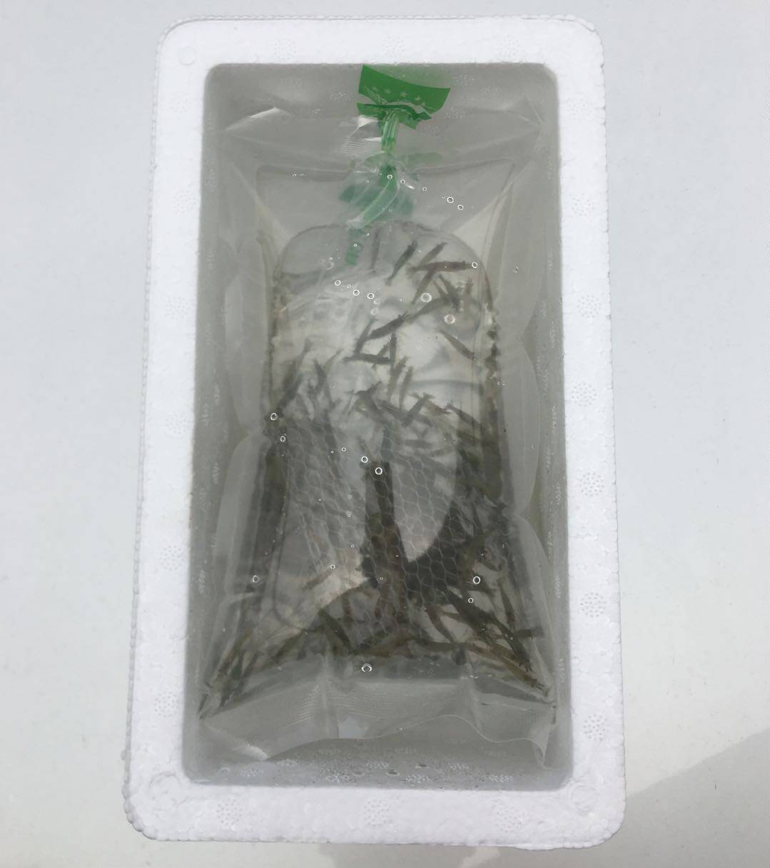 黑壳虾活体龙鱼爬宠饲料免邮工具虾