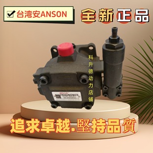 50S ANSON安颂泵 VP5F
