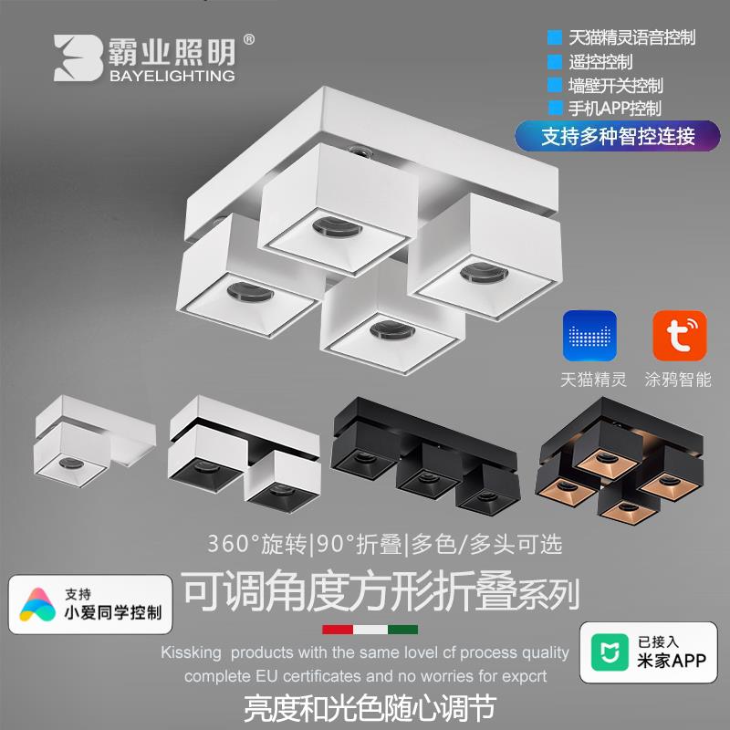明装射灯方形米家涂鸦智能可摇头客厅四头无主灯照明调光中性筒灯