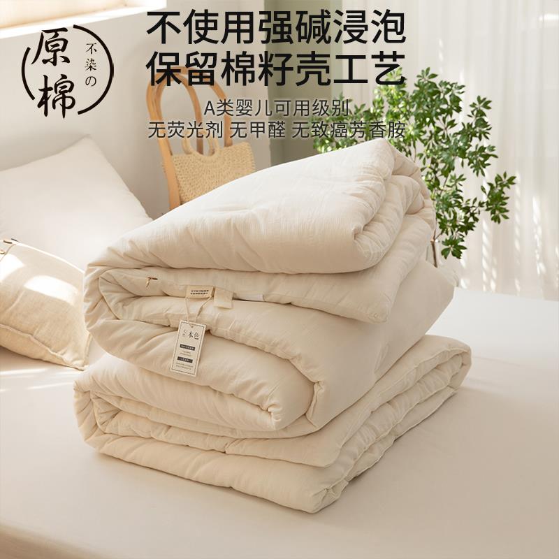 Sofe Comforter Duvet Blanket Air Condition Quilt Summer夏被