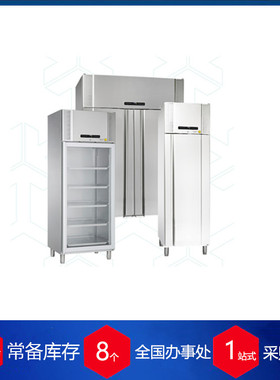 丹麦 GRAM实验室整体防爆冰箱BioPlus RF500