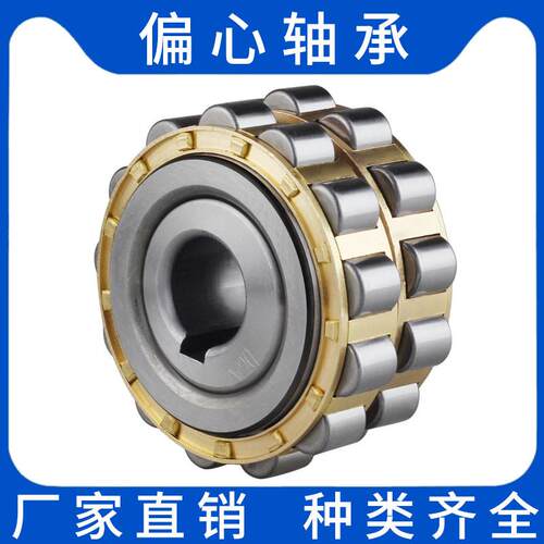 rn206m偏心轴承套摆线针轮减速机轮rn307摇摆rn309凸轮rn205带轴