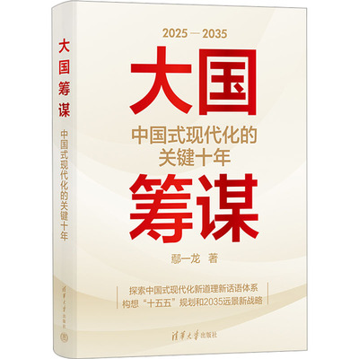 大国筹谋：中国式现代化的关键十年