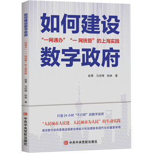 如何建设数字政府 