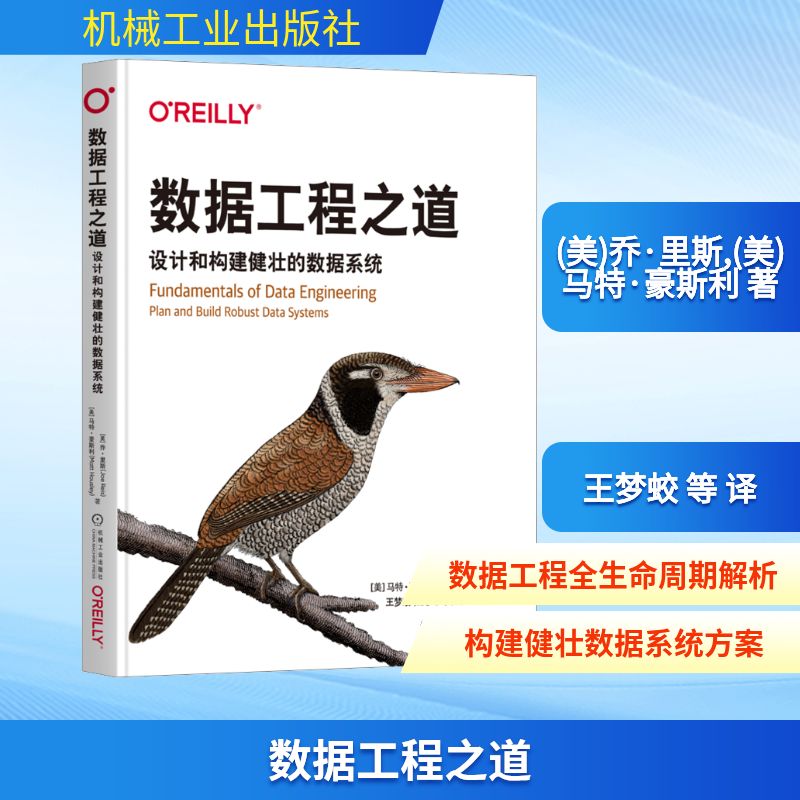 数据工程之道 设计和构建健壮的数据系统