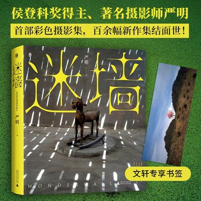 迷墙 严明著 中国著名摄影师、侯登科奖得主严明最新摄影作品集