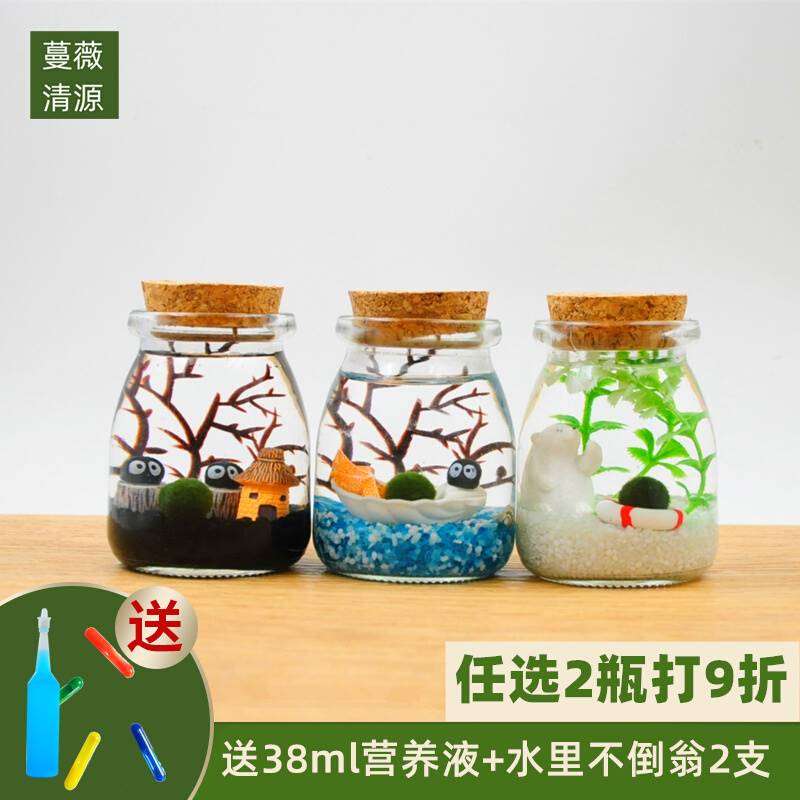 包邮海藻球微景观生态瓶水培球藻创意迷你植物桌面玻璃瓶盆栽礼物怎么样,好用不?