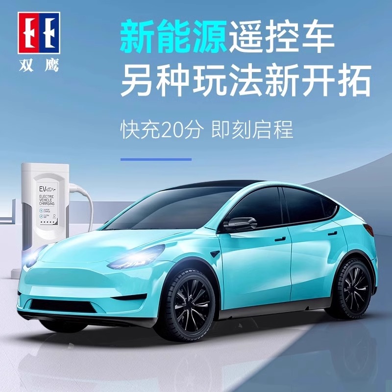 正版双鹰新能源遥控车男孩玩具汽车六一儿童节礼物生日特斯拉四驱
