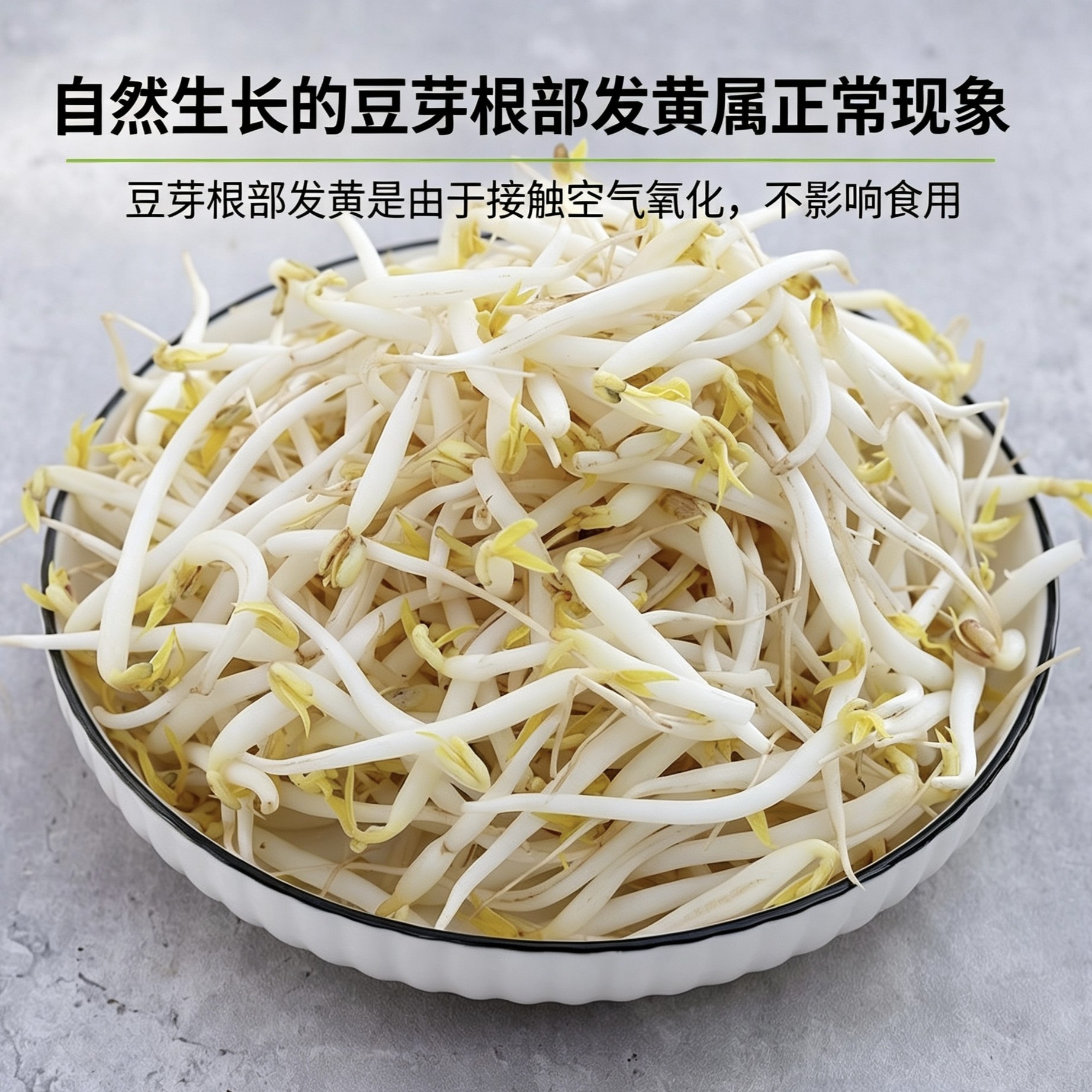 徐州特产胖豆芽绿豆芽顺丰上门