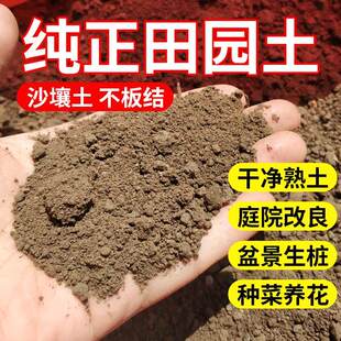天然沙土壤土营养土养花通用种菜种花盆栽绿植专用土壤种植田园土