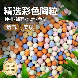 彩色陶粒专用透气花卉盆栽铺面石鱼缸造景多肉营养土颗粒石子
