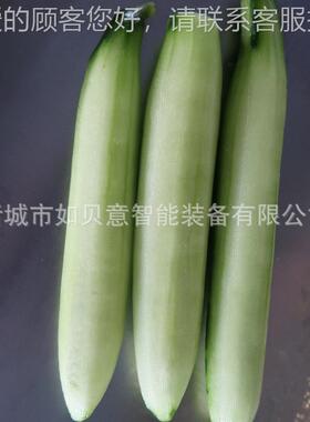 大量萝卜QIG削皮机胡 高速连产续式去皮备 贡设菜剥皮机