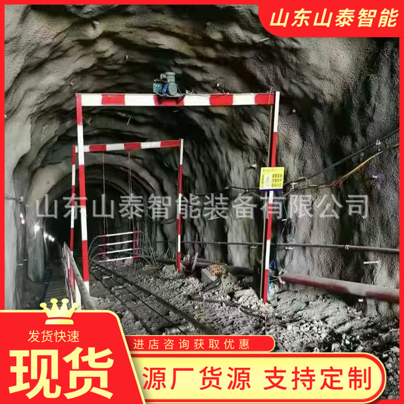 加厚跑车防护装置 实时监控跑车防护装置 ZDC30-2.5A跑车防护装置