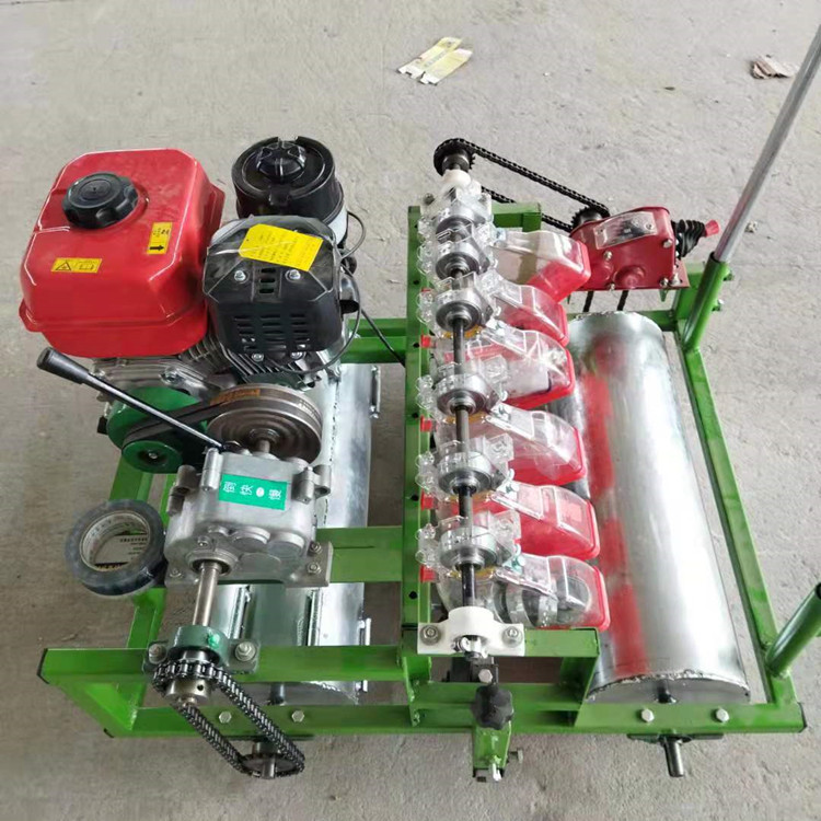 汽油手推是蔬菜播种机大葱油菜精播机 小颗粒种子播种机