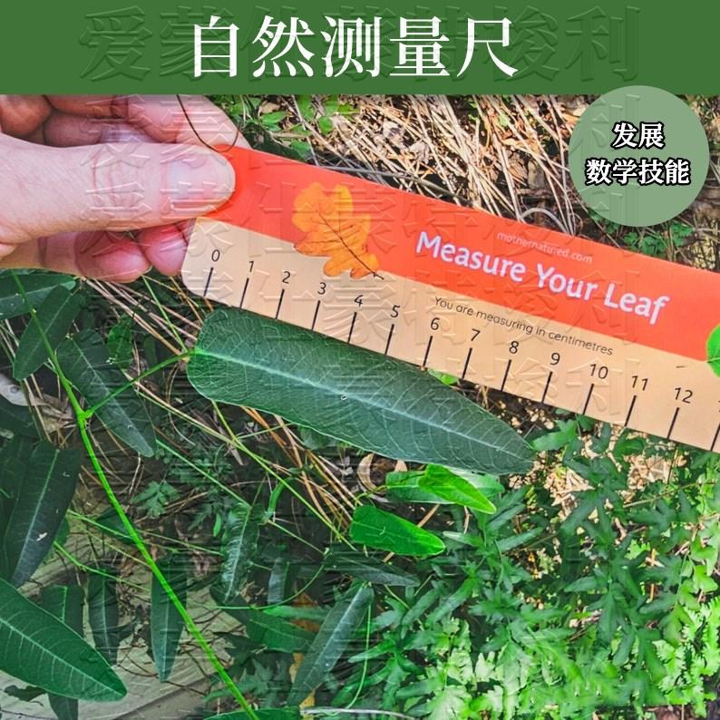 脊柱侧弯测量尺水平尺