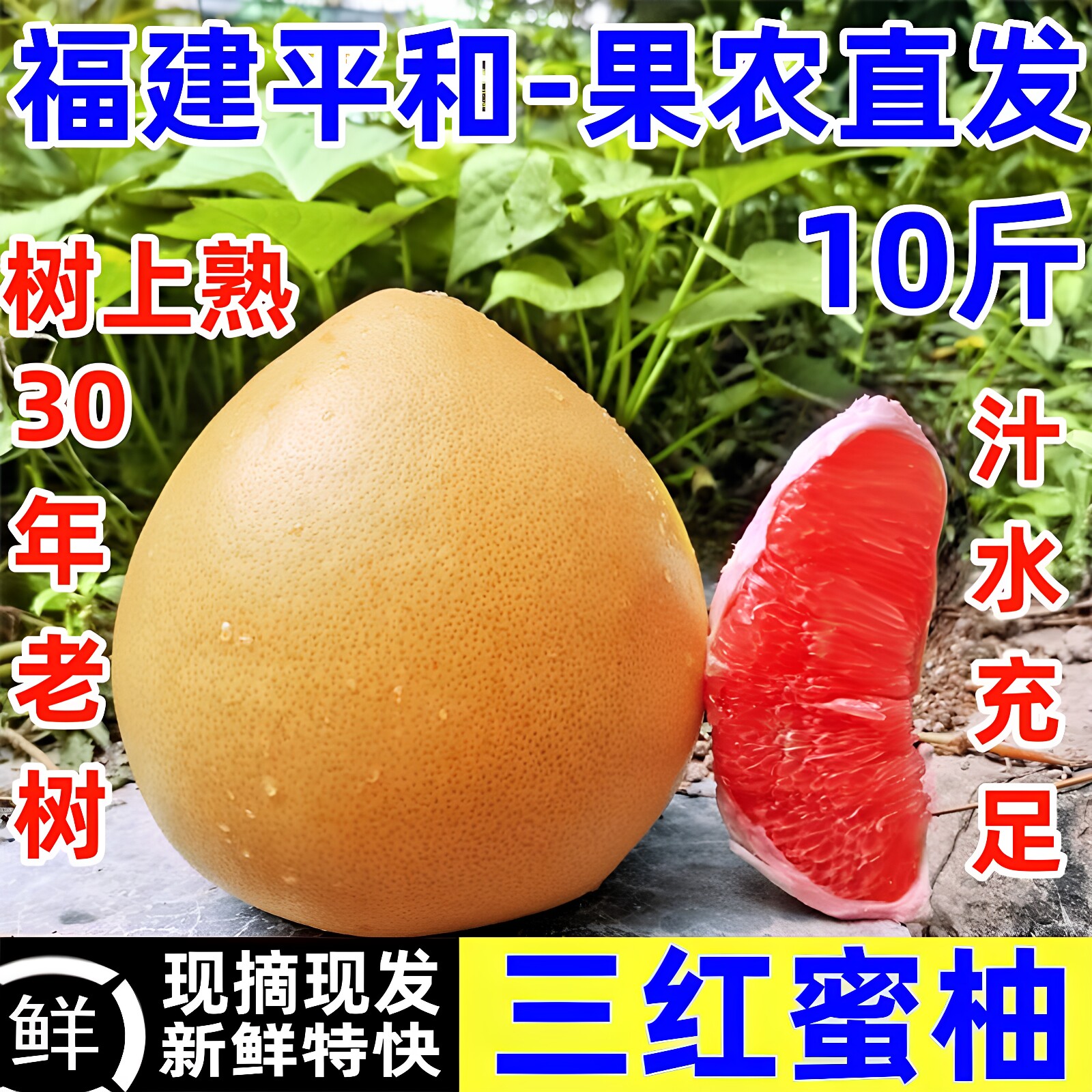 三红蜜柚福建漳州平和琯溪红心柚子棺管官溪3红肉新鲜孕妇水果密9