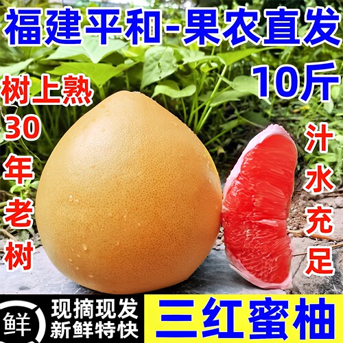 三红蜜柚福建漳州平和琯溪红心柚子棺管官溪3红肉新鲜孕妇水果密9