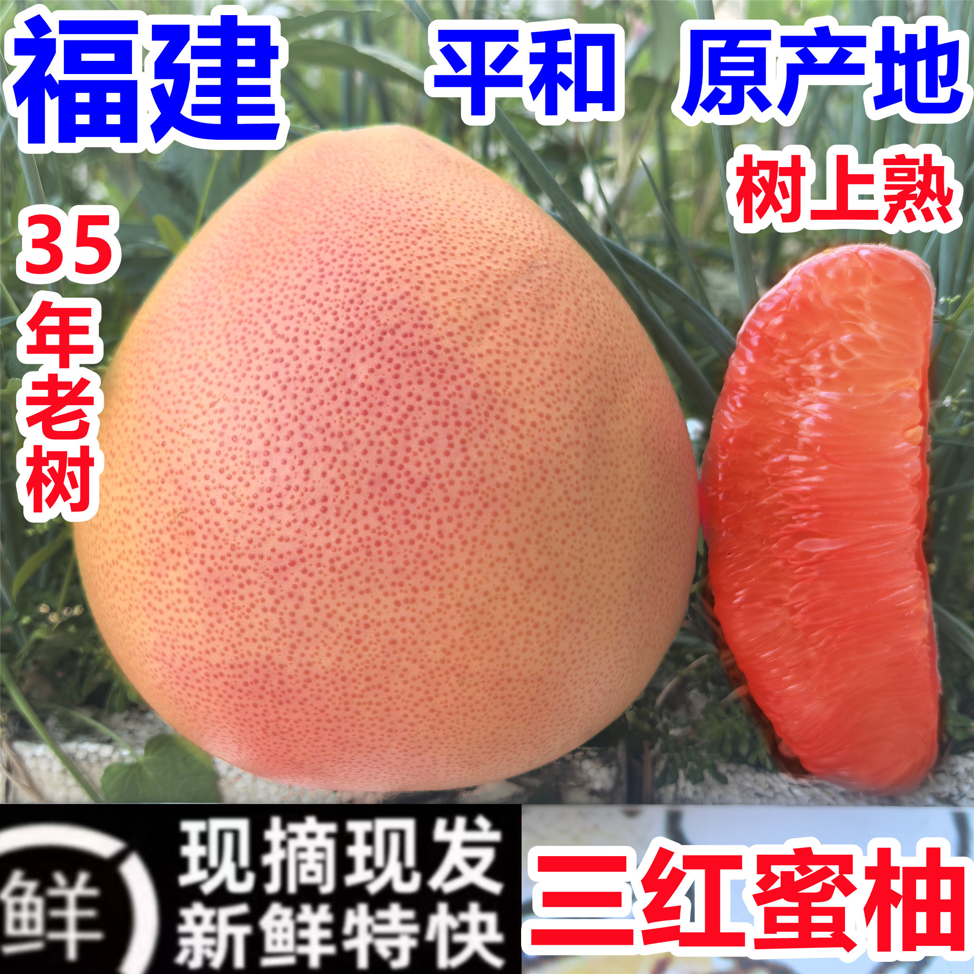 三红蜜柚福建平和琯溪3红心柚子新鲜孕妇水果漳州官管溪密柚官溪