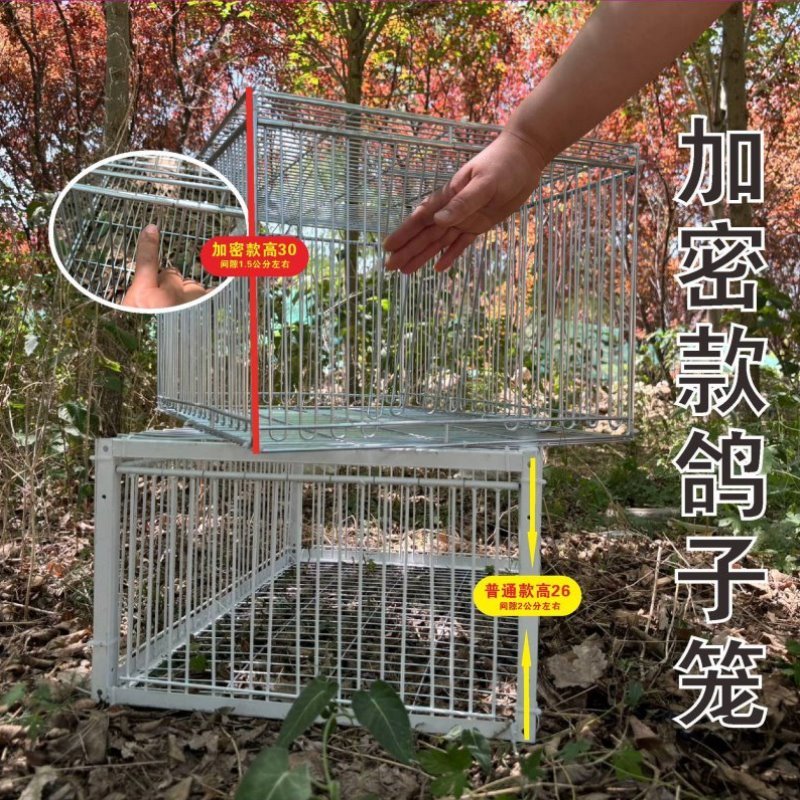 笼陷阱加密鸽笼笼鸽笼只收户外进不出神器抓天落鸽子笼全自动鸟笼