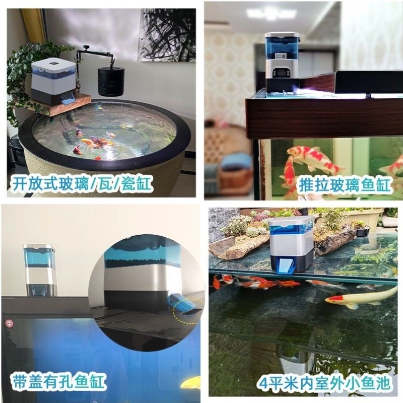 投智能缸龙鱼喂鱼大颗粒全自动料器锦鲤器鱼池乌龟室内户外食器投,宠物/宠物食品及用品,喂食器,淘宝优惠券,粉丝福利购,淘宝优惠卷