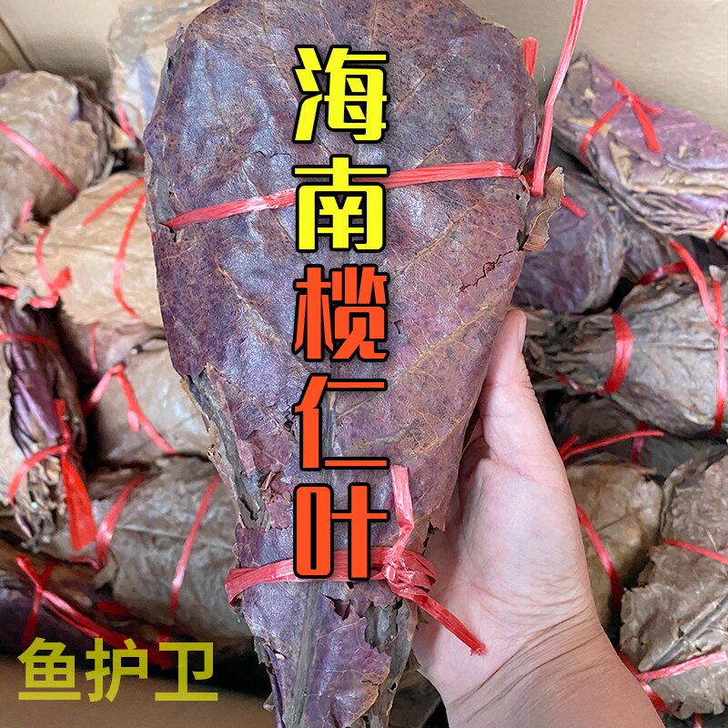 水族降酸调节剂乌龟酸斗鱼橄榄叶图片
