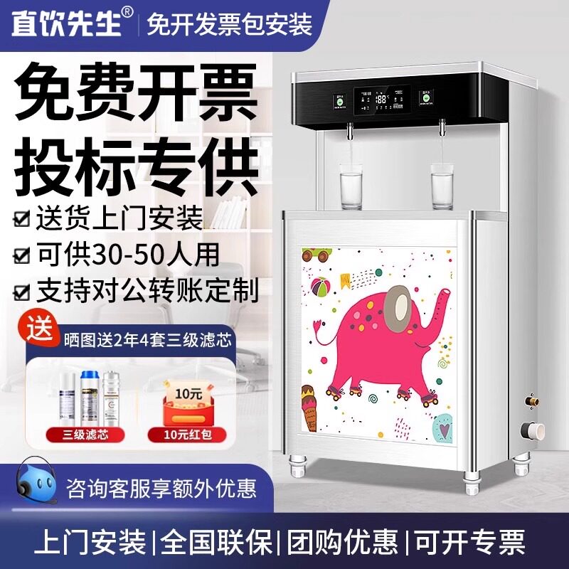直饮先生商用开水机直饮温水幼儿园托管班专用反渗透过滤饮水机