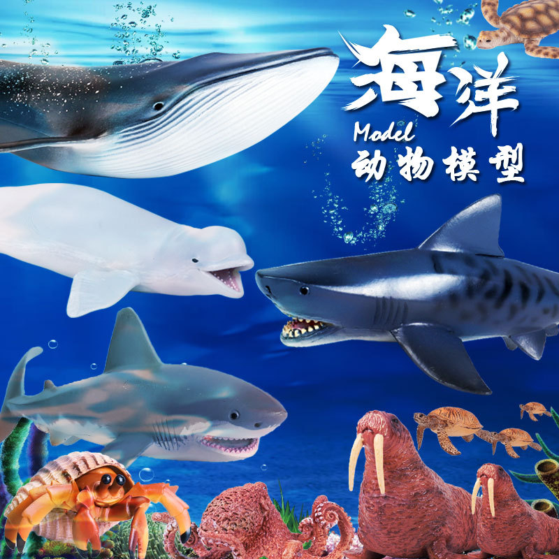 仿真认知鲨鱼海洋生物模型大白鲨