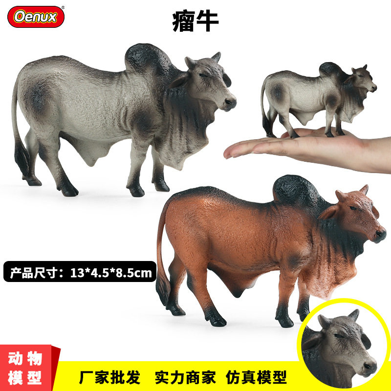 儿童认知仿真实心野生动物模型