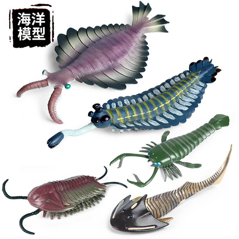 仿真海洋海底动物模型摆件儿童