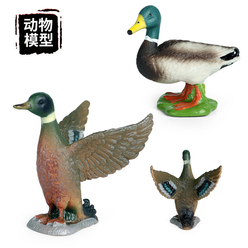 仿真静态动物鸭模型儿童认知玩具