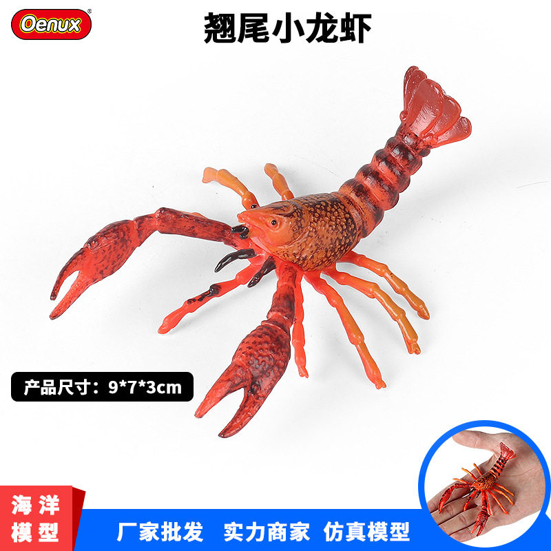 儿童早教认知仿真海洋淡水小龙虾