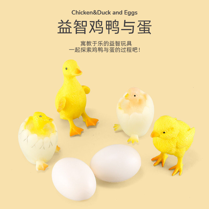 仿真家禽小鸡模型套装亚马逊同款