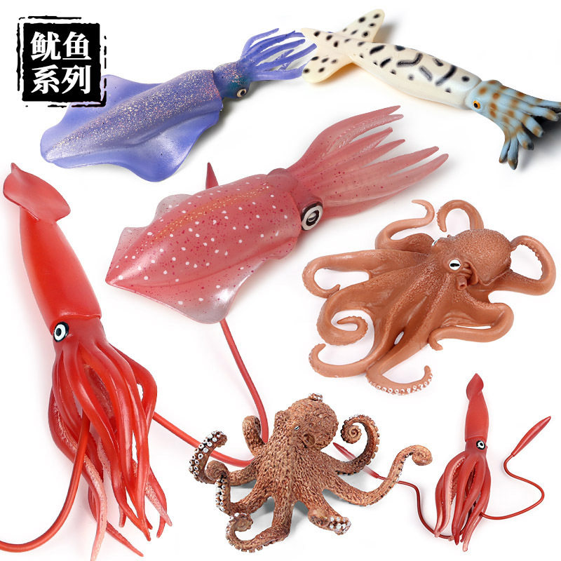 仿真动物模型儿童玩具海洋海底