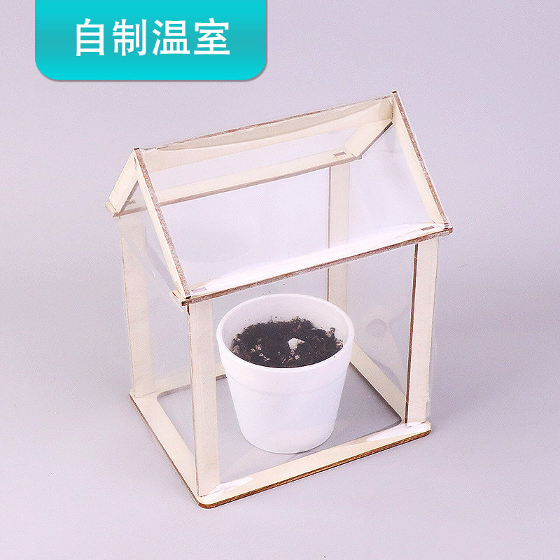 温室科技小制作二年级学生阳光房
