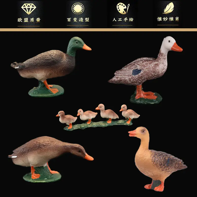 仿真心家禽动物模型套装鸭子灰鸭绿头黑鸭小鸭群摆件儿童认知玩具