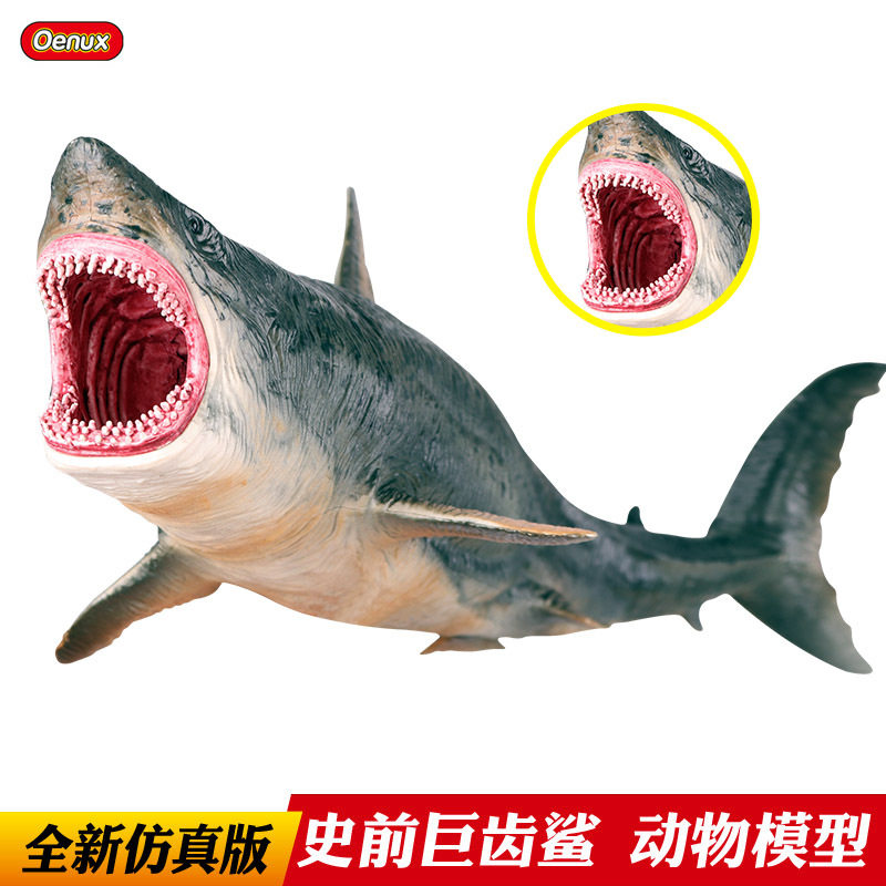 仿真海洋生物动物模型巨齿鲨