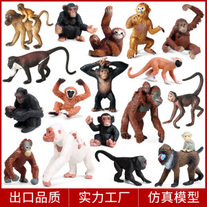 儿童认知实心动物模型仿真猩猩