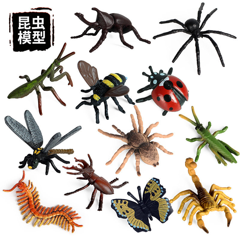 儿童仿真野生昆虫动物模型蝴蝶