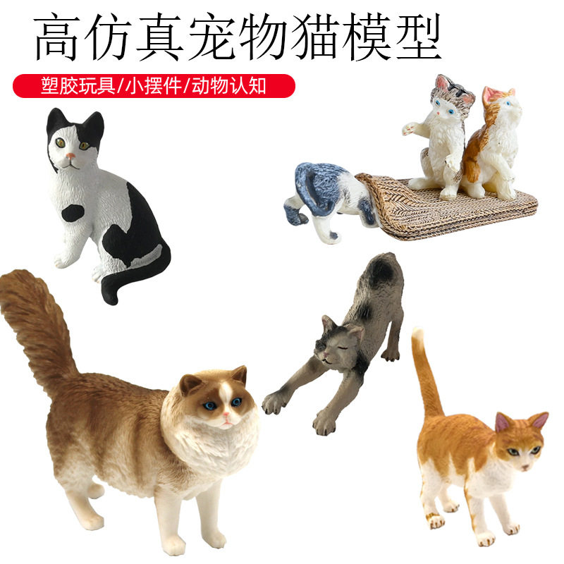 幼儿园科教认知动物模型玩具儿童