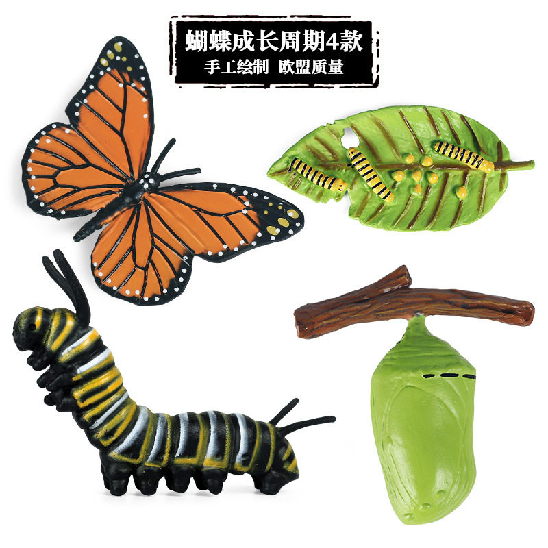 儿童认知玩具仿真动物昆虫模型小
