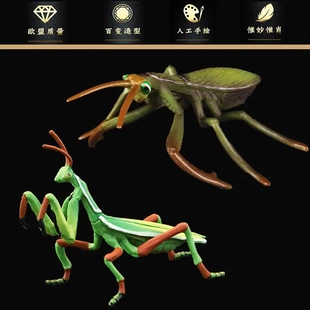仿真实心昆虫模型玩具套装 螳螂 祷告虫 大刀螂 儿童认知礼品摆件
