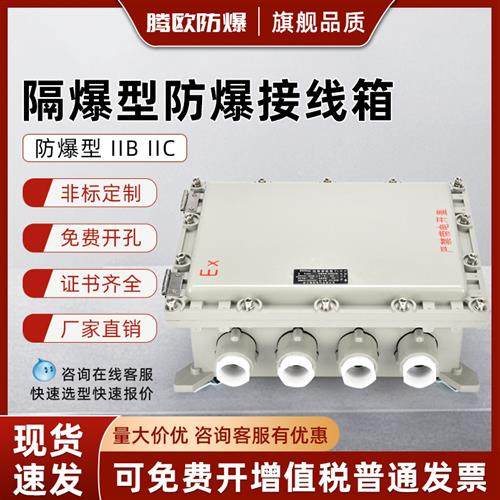 定制BXJ防爆配电箱接线箱仪表控制柜照明开关动力配电柜接线盒