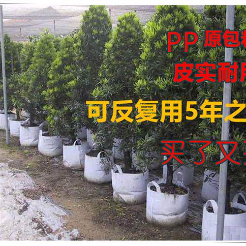 美植袋 种植袋 加厚不织布植树袋花盆特大白色灰色绿色包邮营养钵