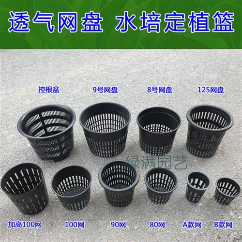 塑料气生洋兰盆石斛吊兰蝴蝶兰网盆多孔花盆透气水培栽培篮定植篮