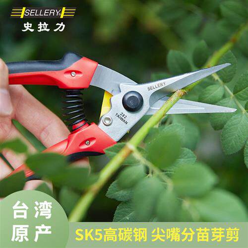 进口尖嘴弹簧修枝剪刀果树插花兰花分苗园艺盆景修剪造型专用工具图片